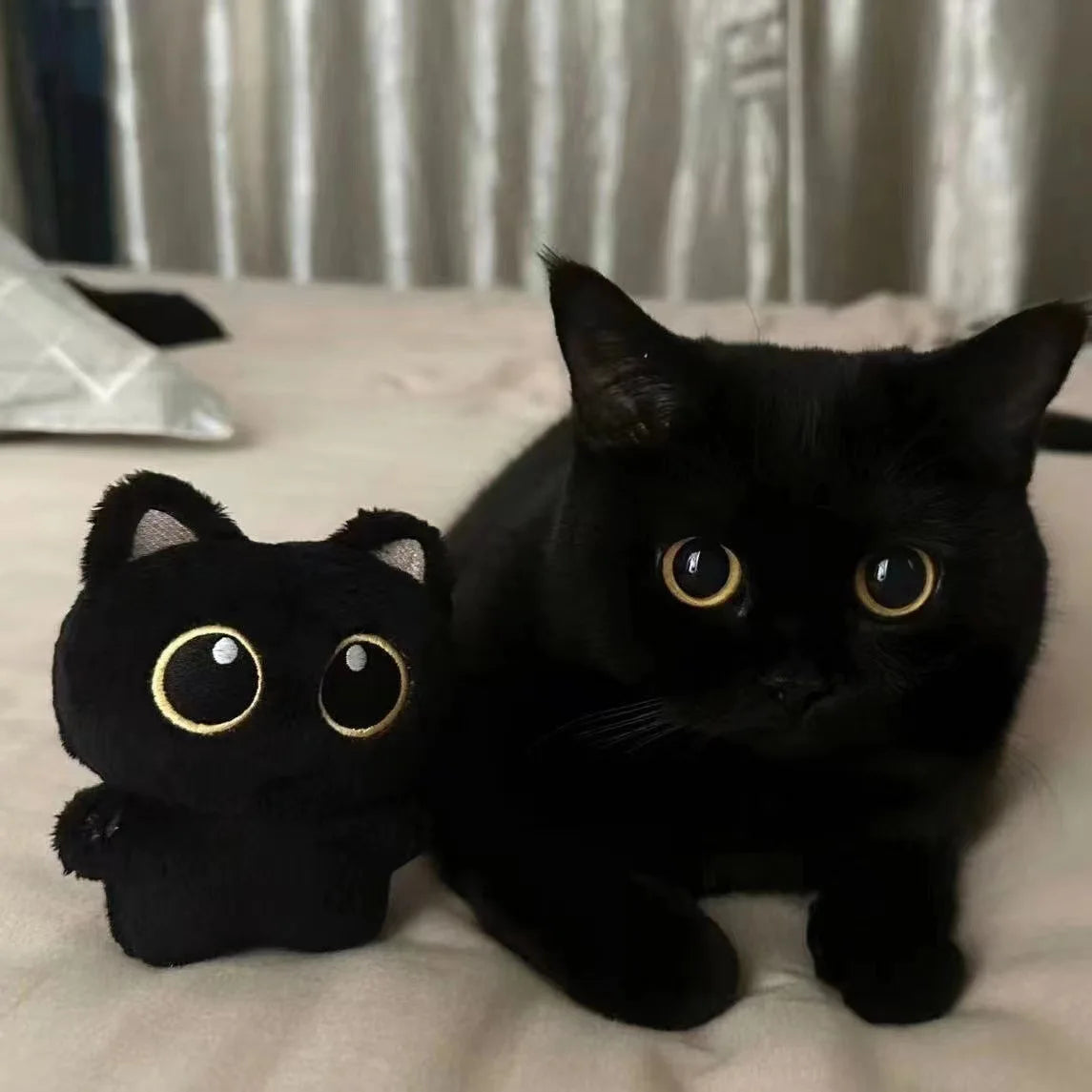 Cute Black Cat plush toy Doll Small Pendant Cuddly Pillow Cushion Ins Black Cat Plush Toy Doll for Boy Girl Brithday Gifts 10cm